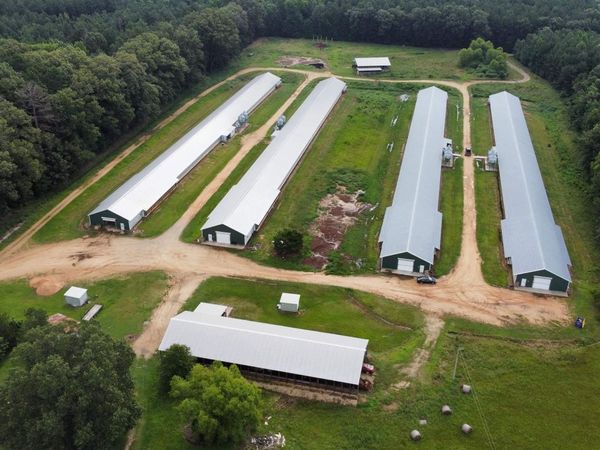 1613 N Bradley 8 Road, Banks, AR 71631