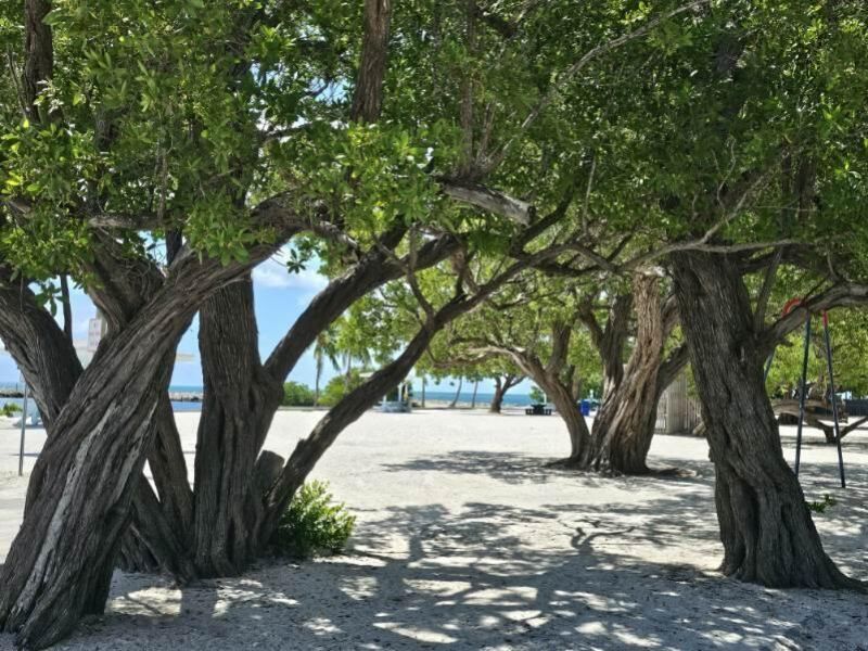 220 W Indies Road, Tavernier, FL 33070 Photo