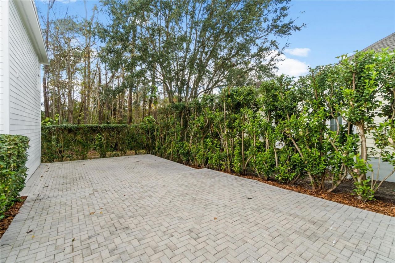 933 Jasmine Street, Celebration, FL 34747 Photo