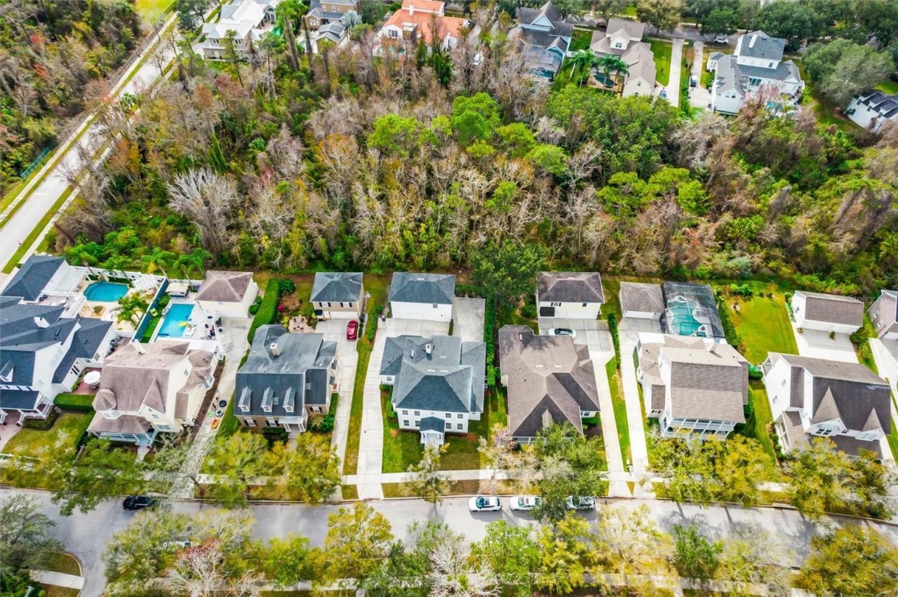 933 Jasmine Street, Celebration, FL 34747 Photo