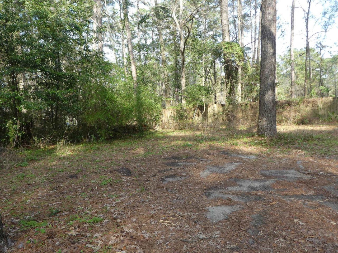 X Thomasville Road, Tallahassee, FL 32312 Photo