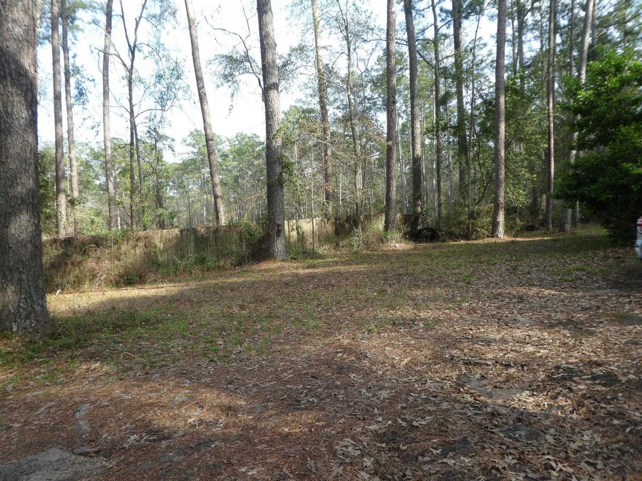 X Thomasville Road, Tallahassee, FL 32312 Photo