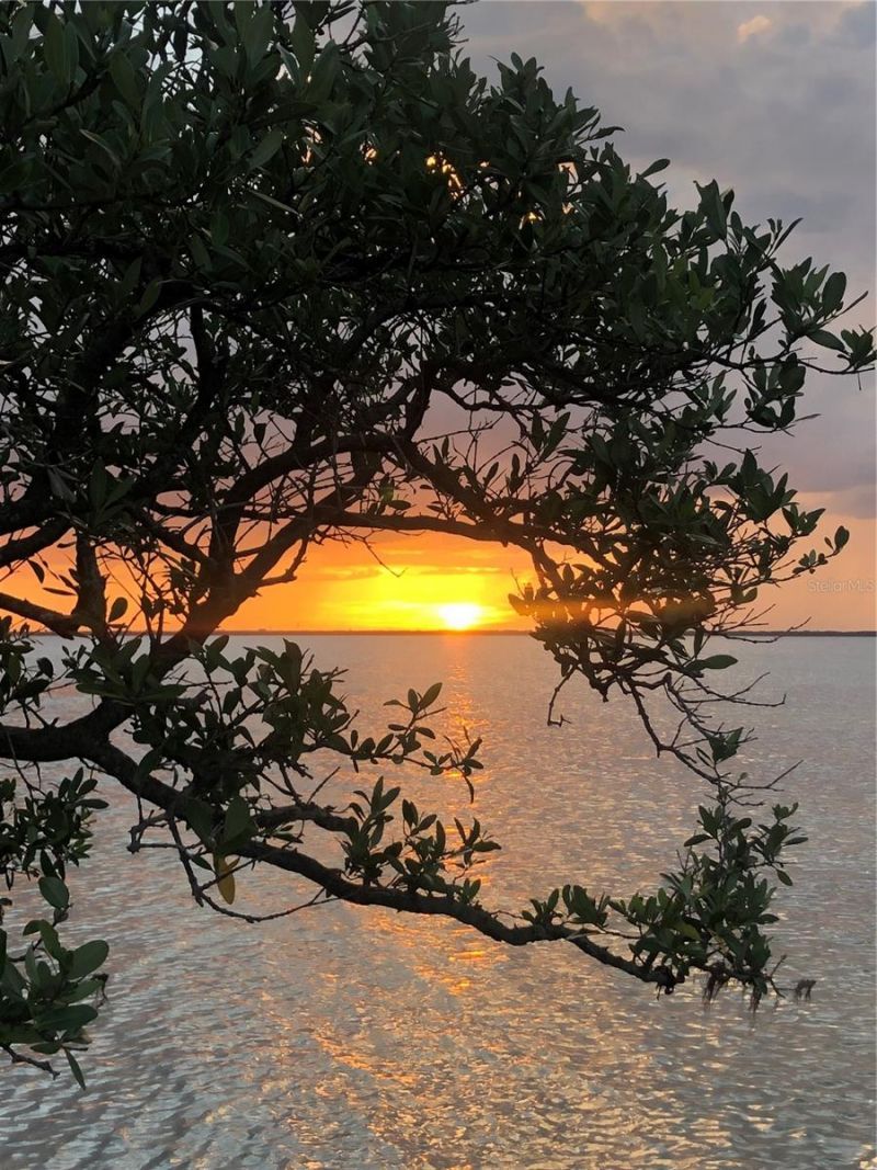 4851 W Gandy Boulevard, Unit B2L10, Tampa, FL 33611 Photo