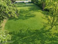 9517 W Central Road, Des Plaines, IL 60016 primary photo