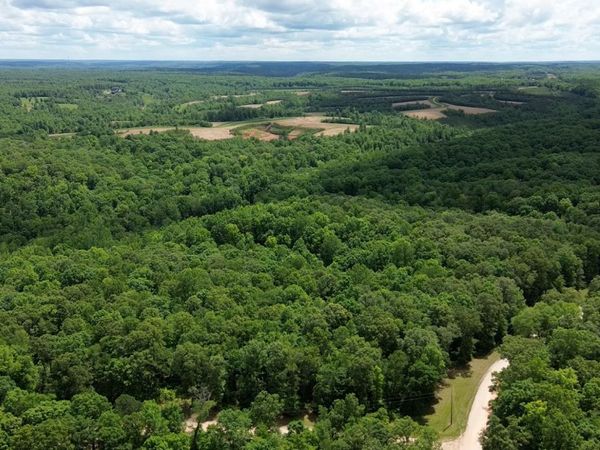 0 Three Rivers Dr, Hurricane Mills, TN 37078