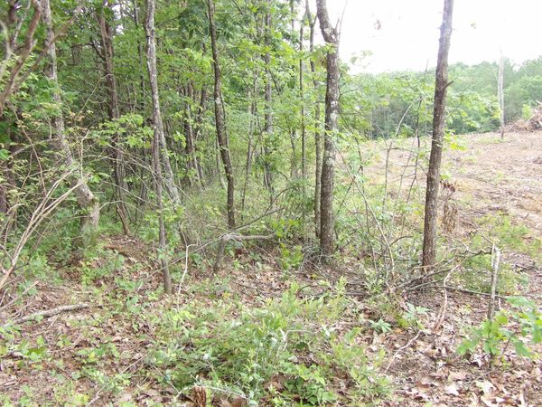 Lot 7 Hughes Road, Pikeville, TN 37332