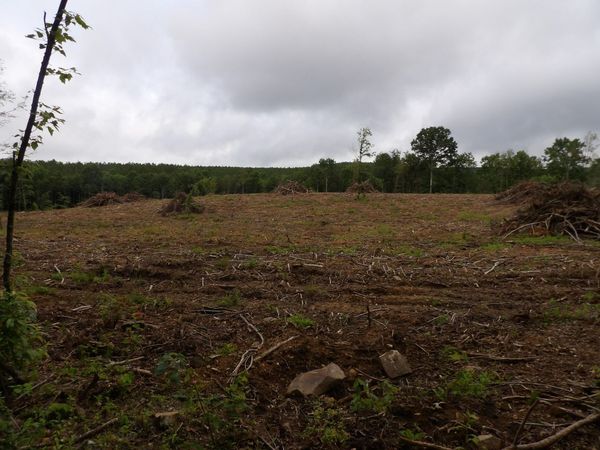 Lot 8 Hughes Road, Pikeville, TN 37332