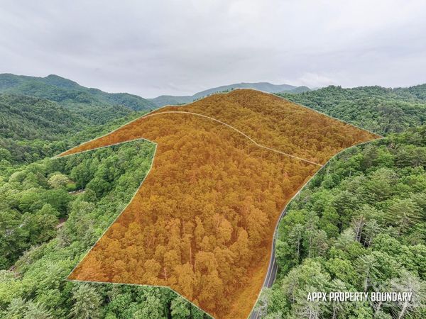 399 Shell Stand Road, Almond, NC 28702