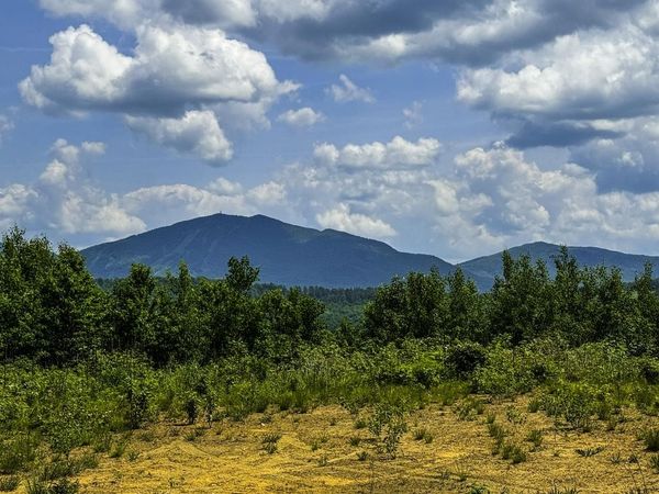 0 Lynburke Road, Unit Lot 2, Burke, VT 05871