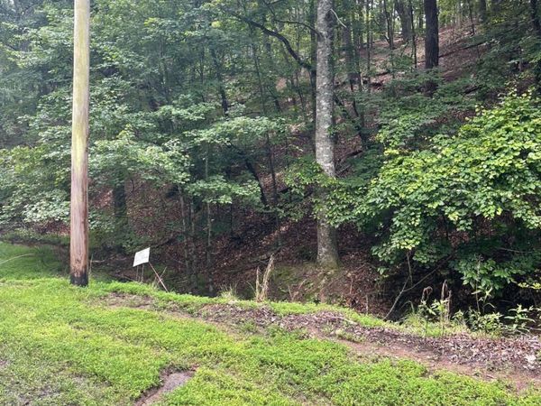124 MORNING STAR Drive, Waleska, GA 30183