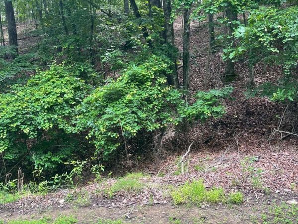 118 MORNING STAR Drive, Waleska, GA 30183