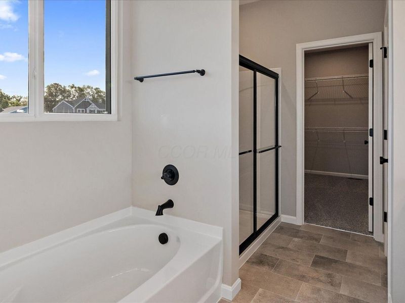 435 Snowdrop Drive, Yellow Springs, OH 45387 Photo 20