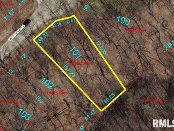 101 GREENWOOD Court, Dahinda, IL 61428