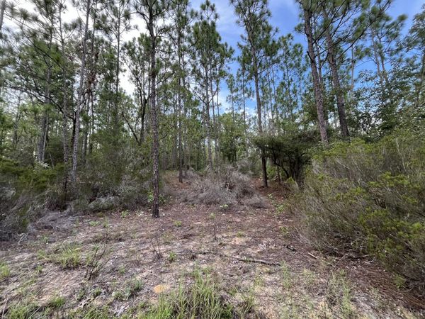 124 New York Avenue, Interlachen, FL 32148