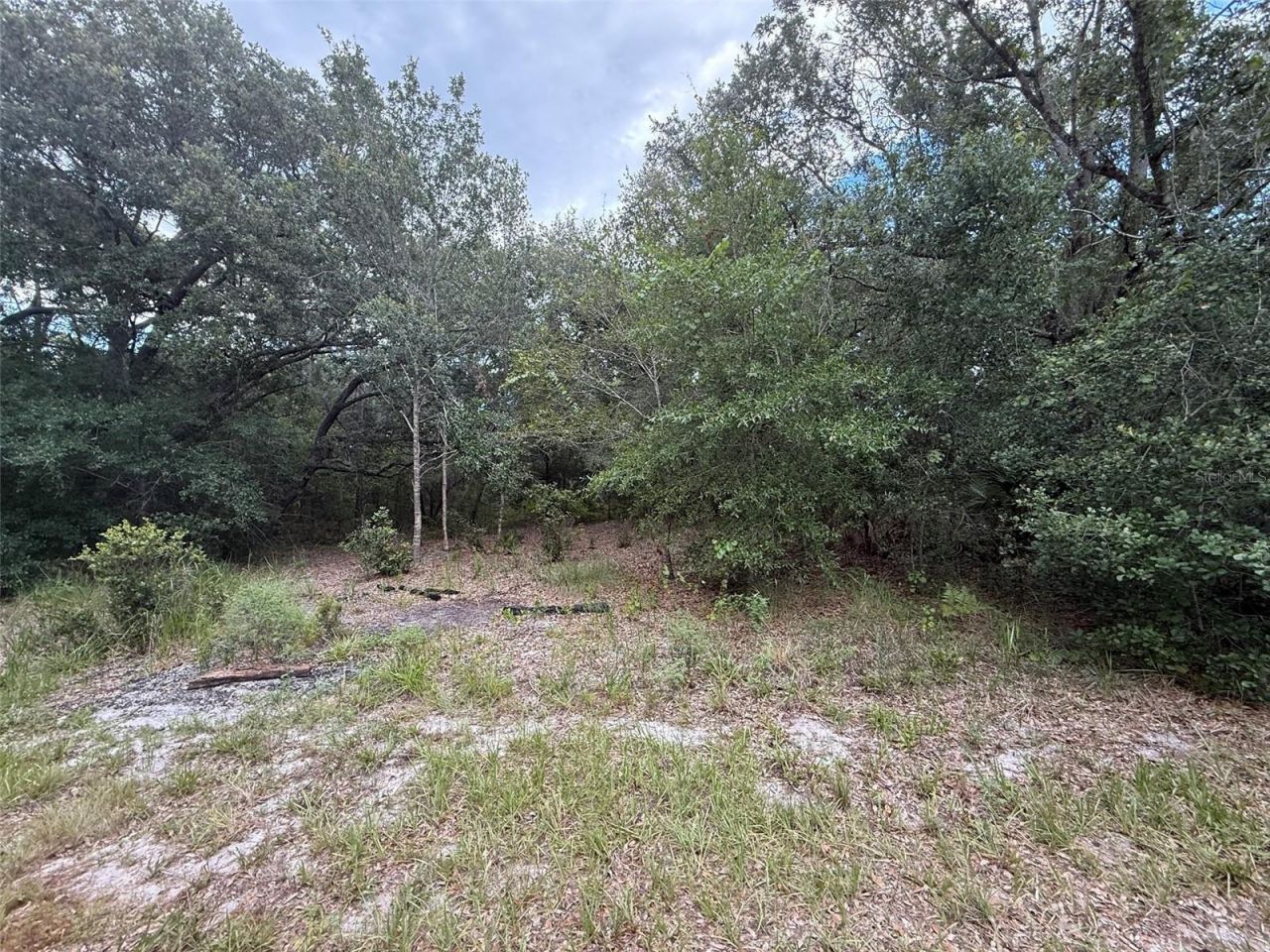 1012 Wildflower Street, Lake Placid, FL 33852 Photo