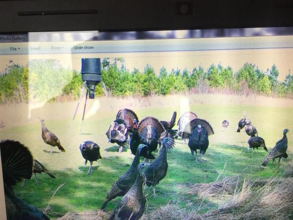 00 Tribble Rd, Other, MS 38848