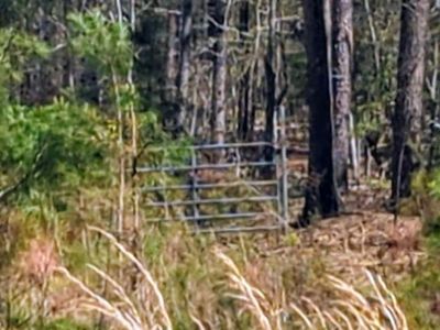 Off Evergreen Road, Winnsboro, SC 29180