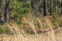 Off Evergreen Road photo 4