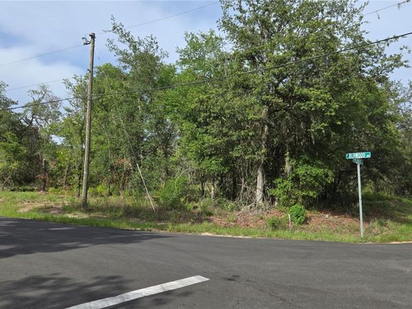 4771 N REDWOOD AVENUE, HERNANDO, FL 34442