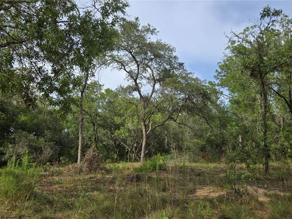 4811 N REDWOOD AVENUE, HERNANDO, FL 34442