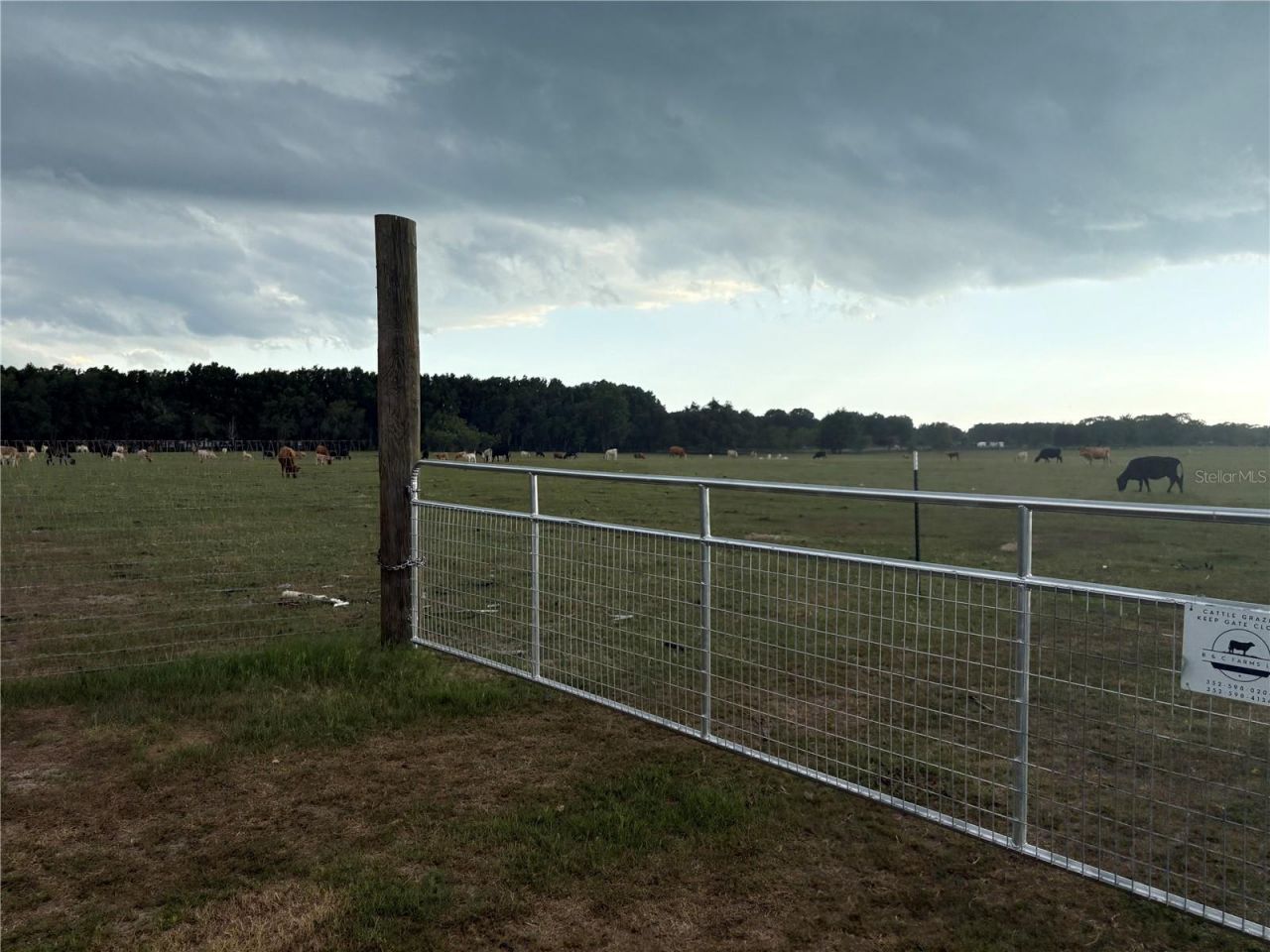 13994 County Road 209, Oxford, FL 34484 Photo