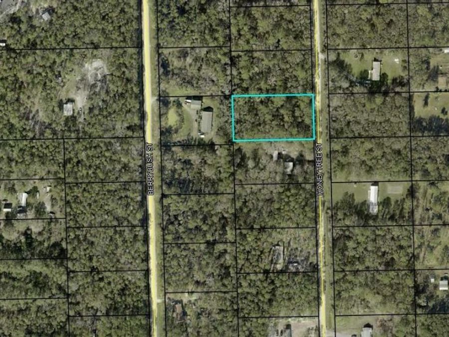 Property Image 6