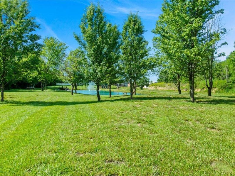 10164 Busey Road, Canal Winchester, OH 43110 Photo 6