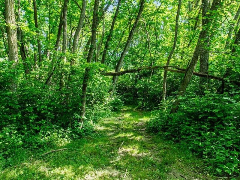 10164 Busey Road, Canal Winchester, OH 43110 Photo 8