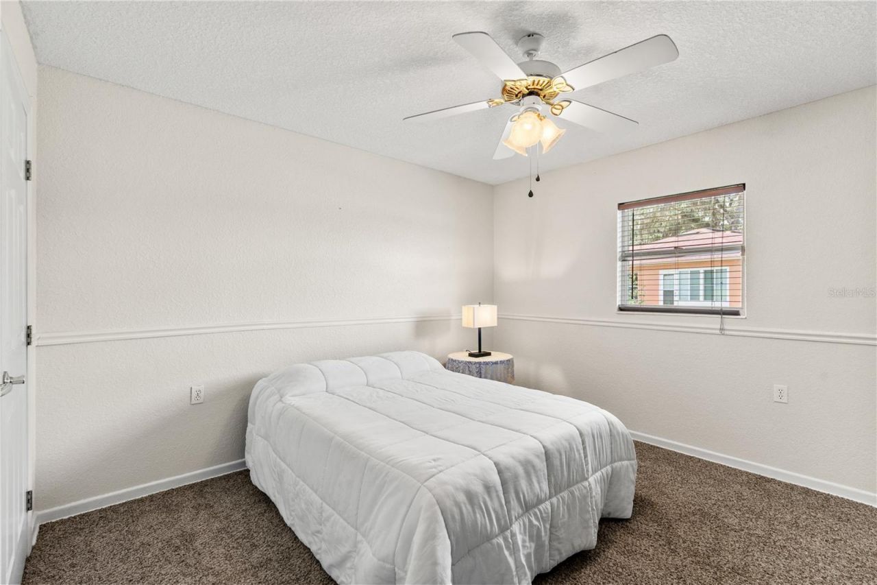 81 N Carol Avenue, Mascotte, FL 34753 Photo