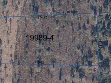 10503 SE US HWY 301, Hawthorne, FL 32640