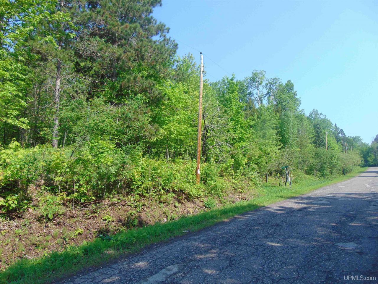 Tbd 1 Alston Avenue, Laird Twp, MI 49958 Main Photo