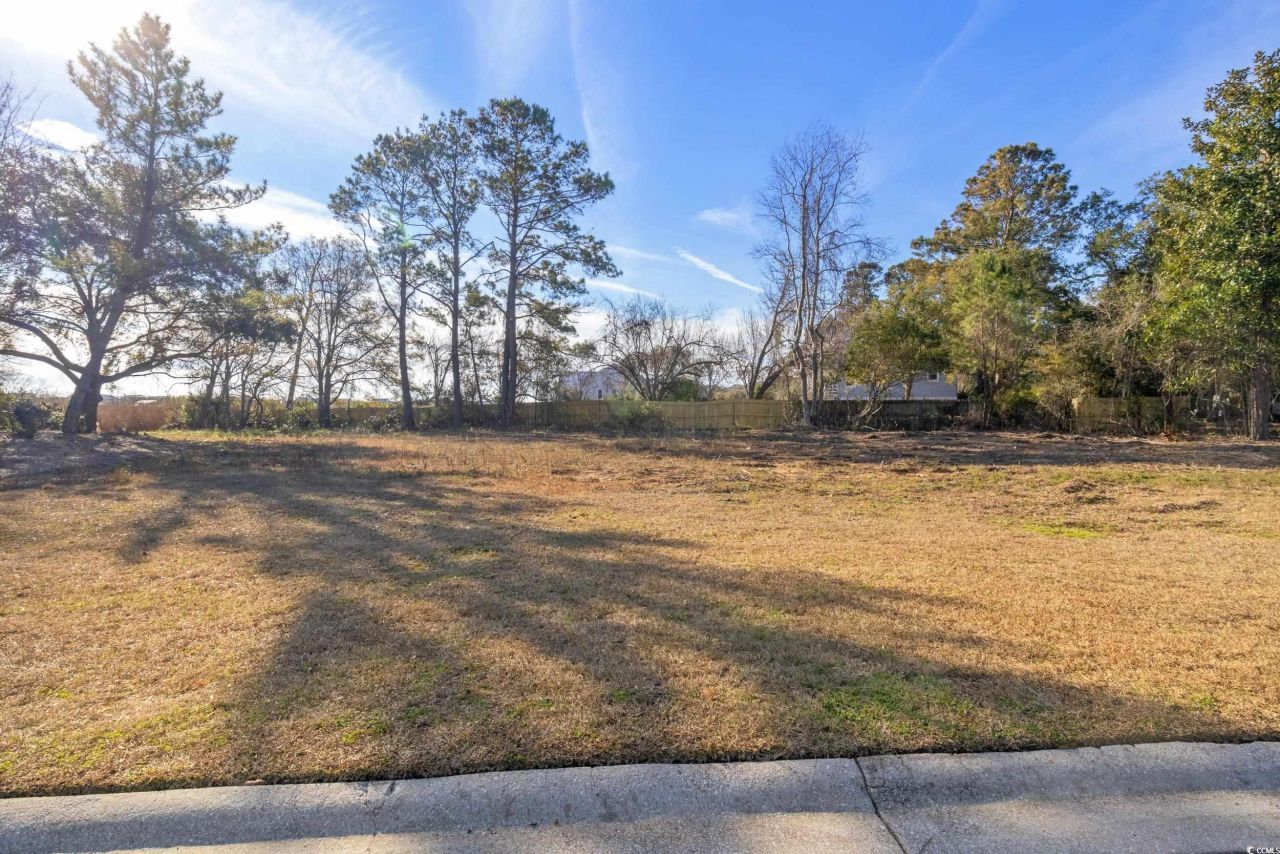 Lot 31 & 31a Grackle Ln. Photo 7