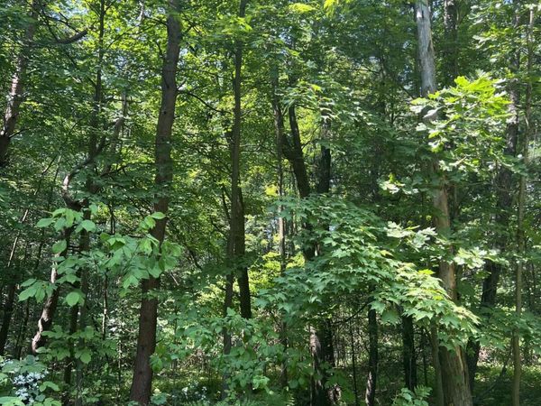 VL Blair Street, West Olive, MI 49460