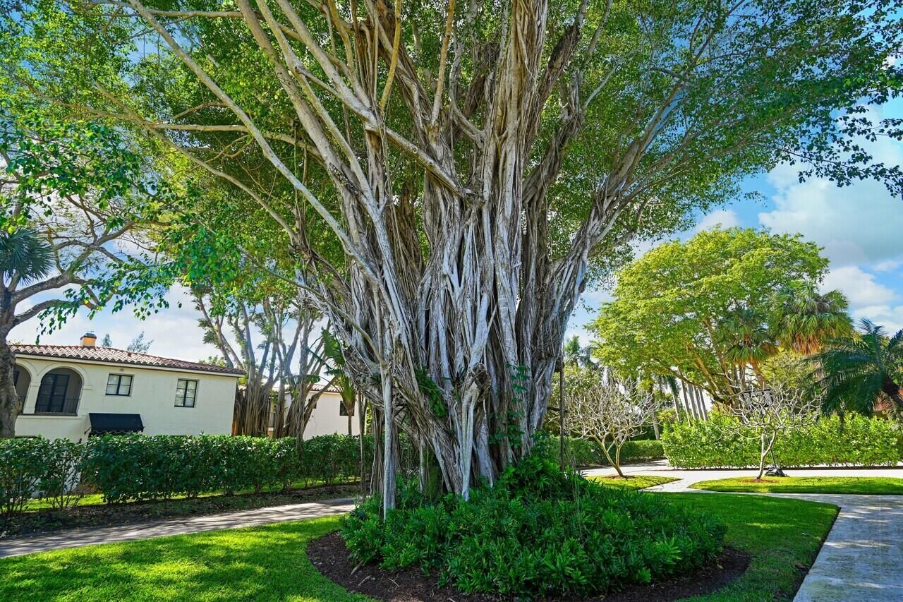 801 Hibiscus Street, Boca Raton, FL 33486 Photo