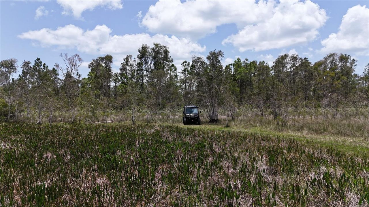 21081 Granville Road, North Fort Myers, FL 33917 Photo