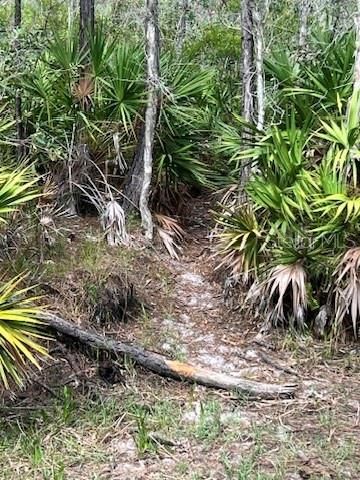 21081 Granville Road, North Fort Myers, FL 33917 Photo