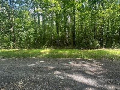 0 Duberry Lane, Ridgeville, SC 29472