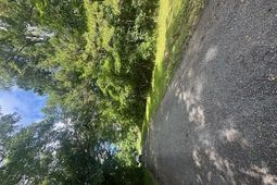 0 Duberry Lane photo 4