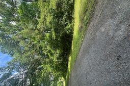 0 Duberry Lane photo 4