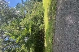 0 Duberry Lane photo 4