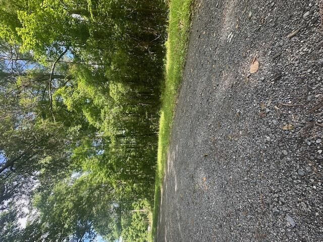 0 Duberry Lane Photo 6