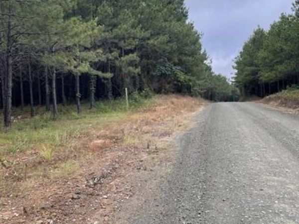 TBD COUNTY ROAD 1090, Center, TX 75935