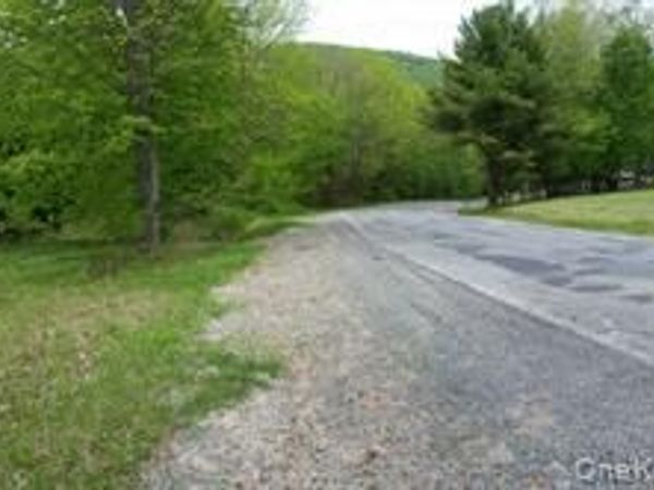 Hessinger Lare Road, Youngsville, NY 12791