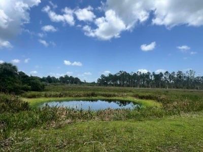 21031 Granville Road, North Fort Myers, FL 33917 Photo