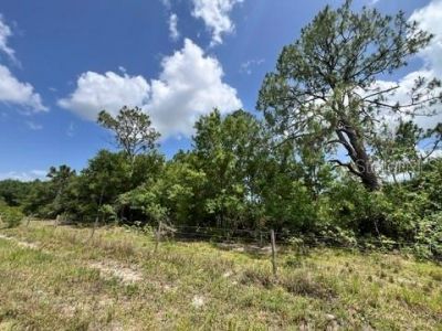 21041 Granville Road, North Fort Myers, FL 33917 Photo