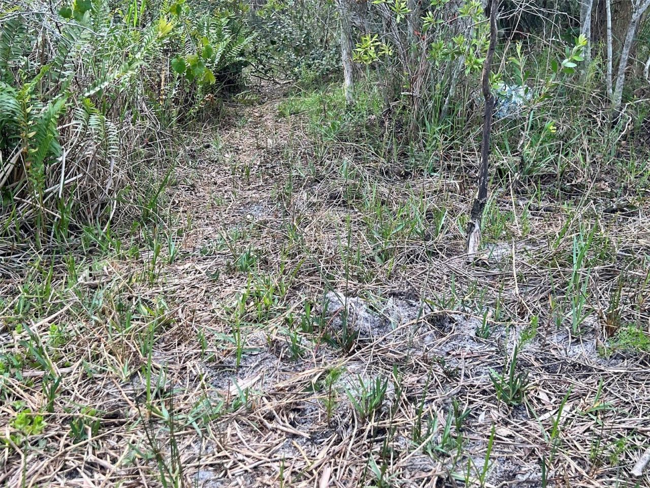 21061 Granville Road, North Fort Myers, FL 33917 Photo