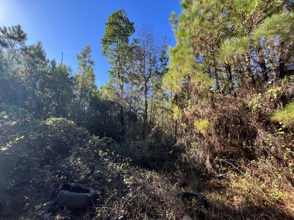 223 Mourning Dove Road, Satsuma, FL 32189