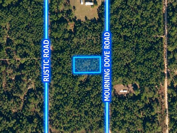 223 Mourning Dove Road, Satsuma, FL 32189