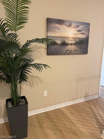 20013 Larino Loop, Estero, FL 33928 Photo
