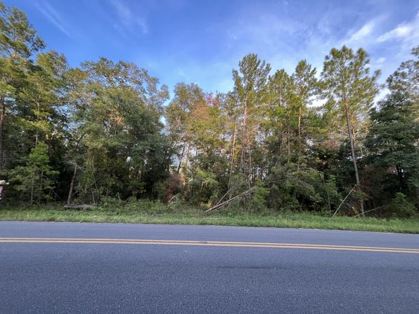 Tbd Twin Lakes Road, Interlachen, FL 32148